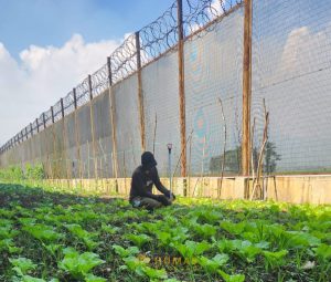 Pemasyarakatan Berdampak- LPN Bandung Terus Dukung Penuh Program Ketahanan Pangan Nasional