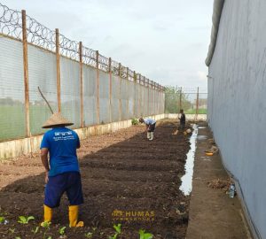 Hijaukan Lapas – Pemanfaatan dan Perawatan Lahan Pertanian di Lapas Narkotika Bandung